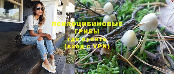 стаф Балабаново