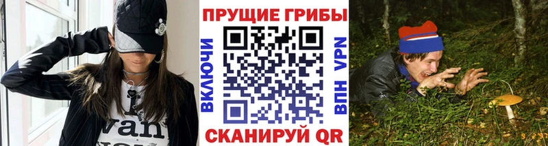 Галлюциногенные грибы Psilocybine cubensis  где можно купить   гидра ССЫЛКА  Ивангород 